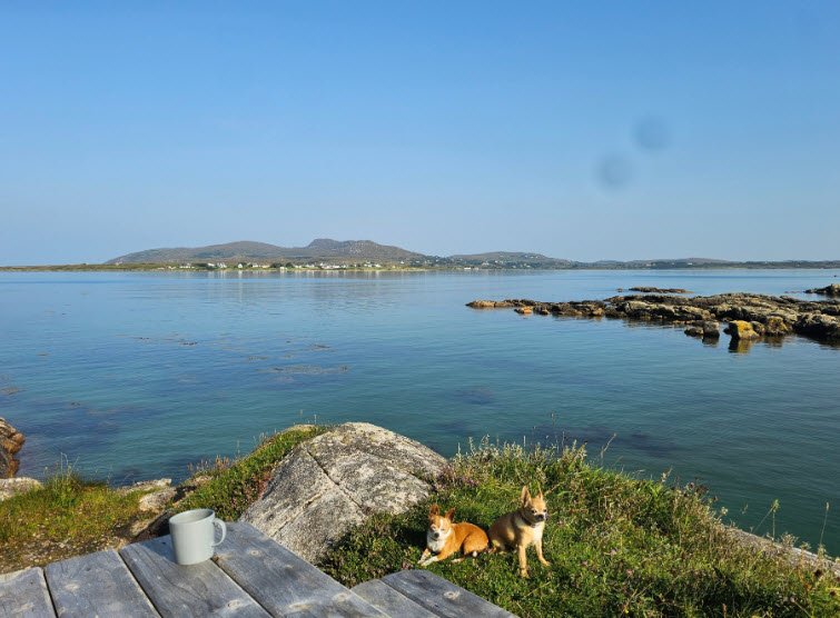 Garylucas Beach, Ireland, Ireland